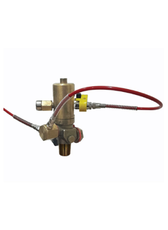 DHP Valve (Direct High Pressure)